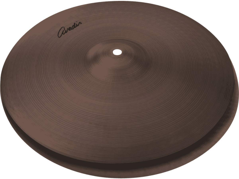 Činela Zildjian 14